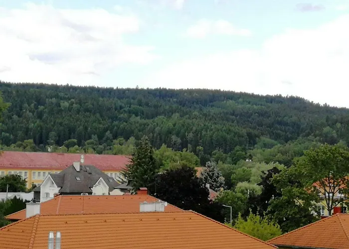 Apartman Meixner Mariánské Lázně