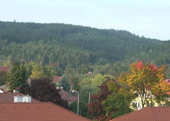 Meixner Apartmán Mariánské Lázně